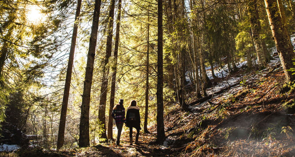 People walking in nature