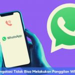 Cara Mengatasi Tidak Bisa Melakukan Panggilan Whatsapp