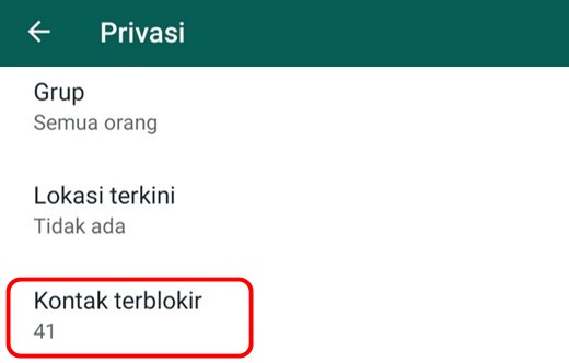 Nama kontak tidak muncul di HP Android