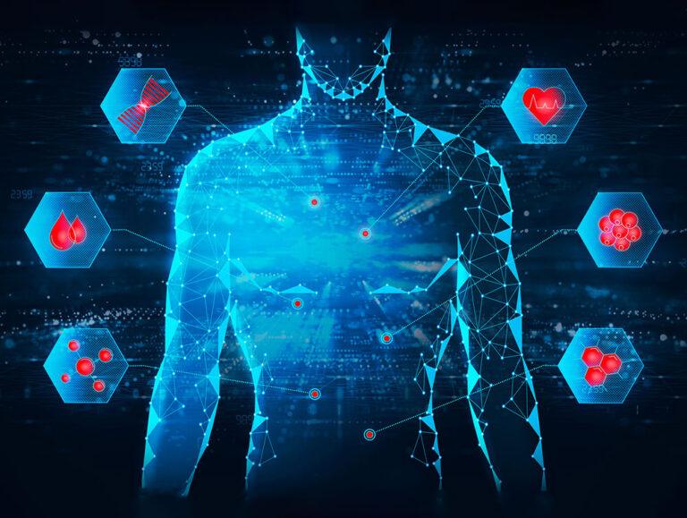 Graphic illustration of major points of health in human body