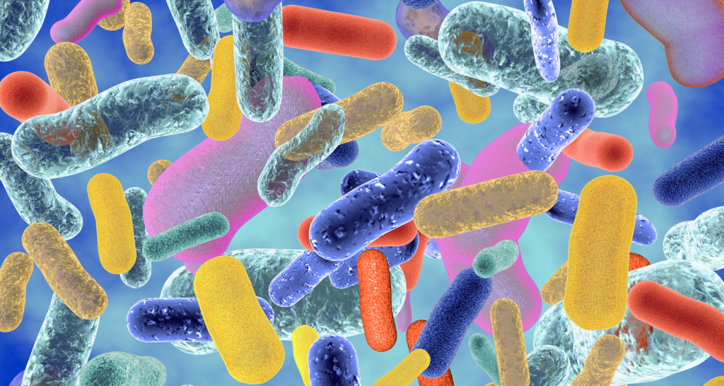 Gut microbes