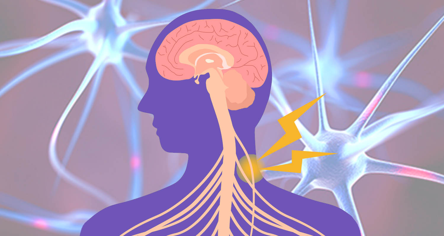 Vagus Nerve Affects Memory_header