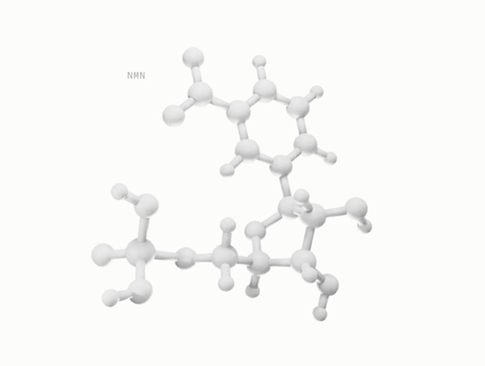 Nicotinamide Mononucleotide